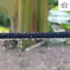 Furtun de irigare agricola tip picurare - imagine 3