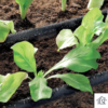 Furtun de irigare agricola tip picurare - imagine 5